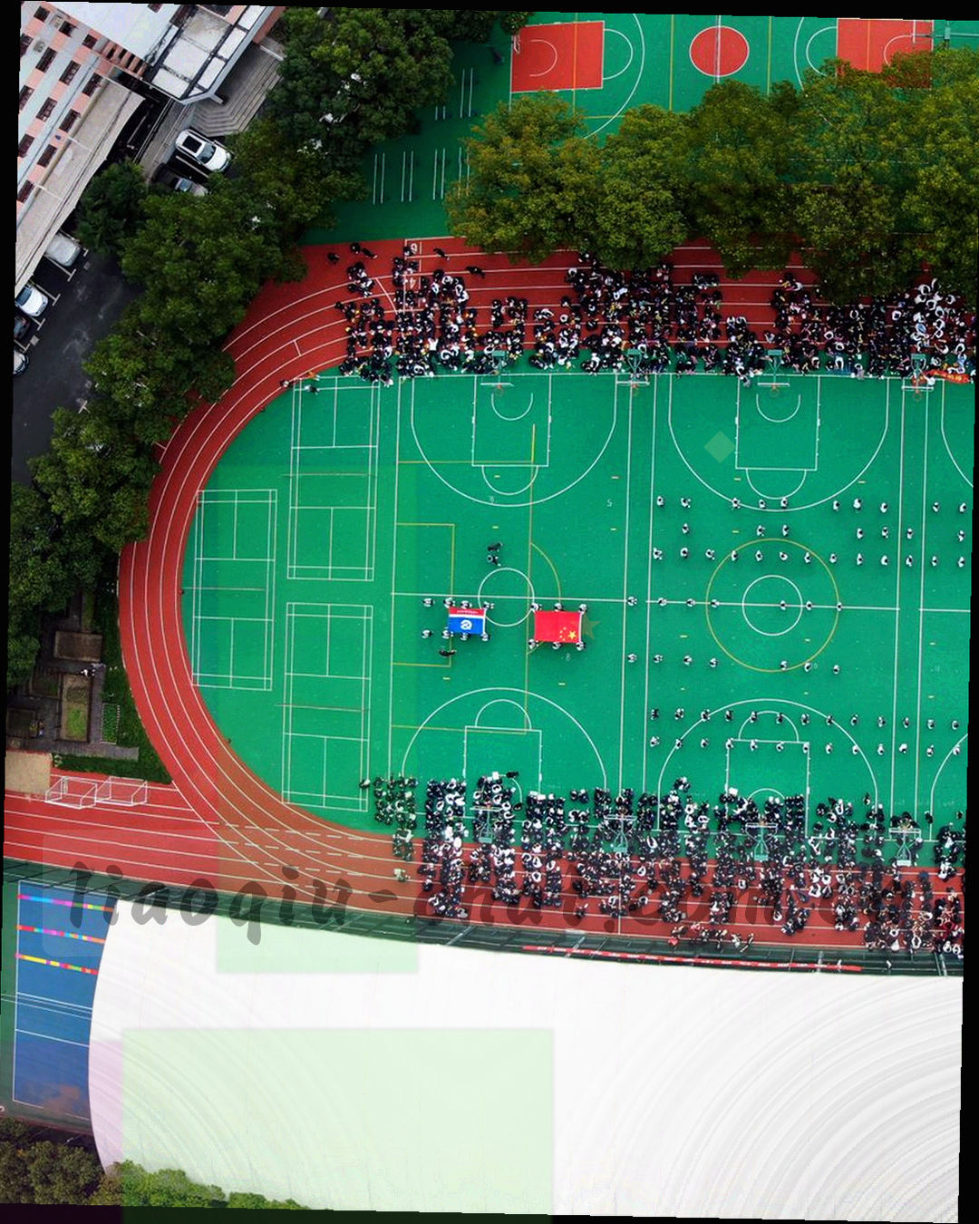 手机上的聊球登录界面插画，账号输入框与确认按钮清晰可见